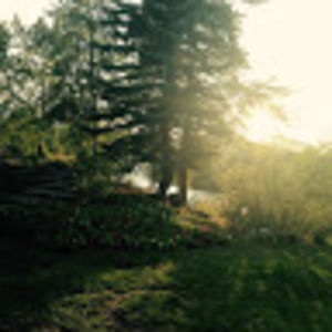 Meet your Posher, Sylvie